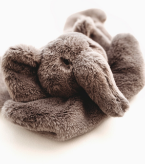 Pebble Olifant